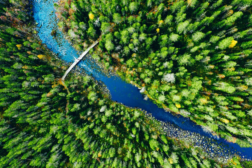 aerial view of a serene river flowing through a de 2026 03 27 02 09 34 utc