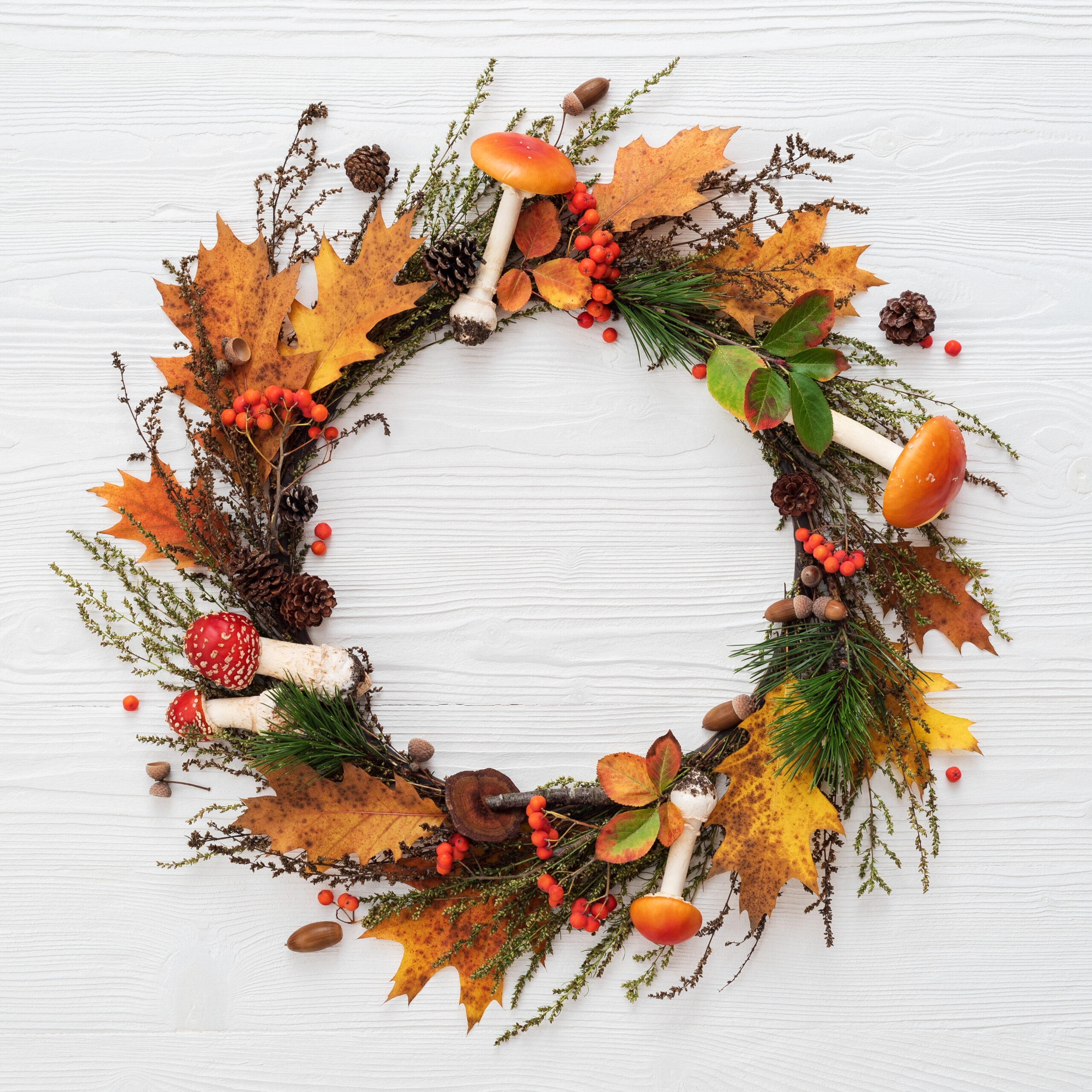 autumnal wreath with mushrooms leaves and pineco 2026 01 09 01 21 14 utc