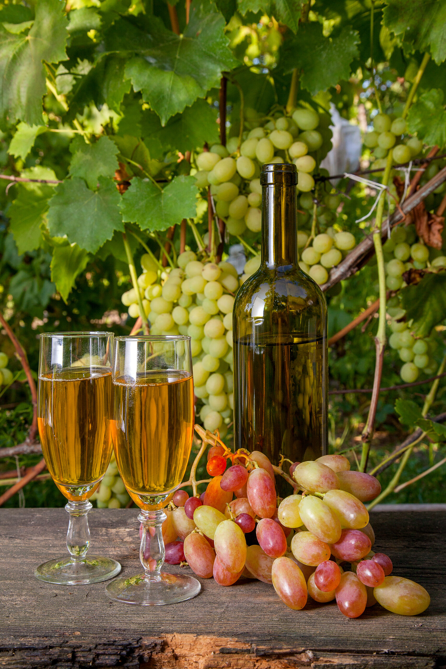 wine and grapes on rustic wooden table 2026 01 09 15 05 25 utc